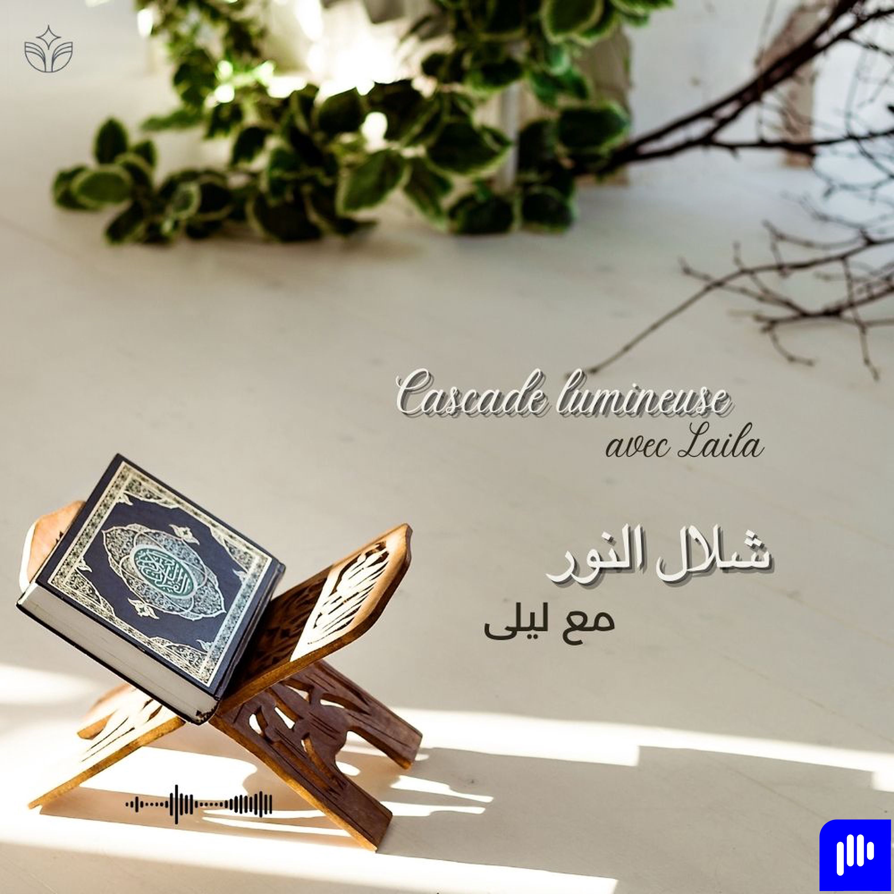 Cascade lumineuse / شلال النور